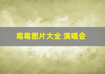 霉霉图片大全 演唱会